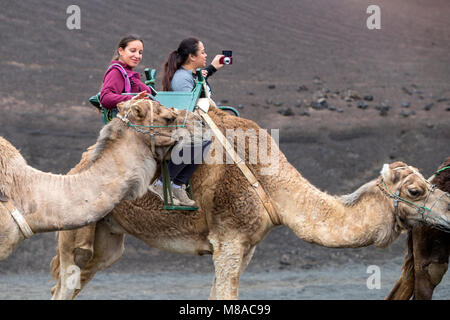 Ragazza turistico toccando un cammello testa mentre in sella a Echadero de los Camellos nel Parque Nacional de Timanfaya, Parco Nazionale di Timanfaya, Lanzarote Foto Stock
