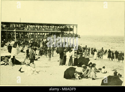 Questa collezione mostra vedute fotografiche panoramiche di vari resort costieri del New Jersey, tra cui Asbury Park, Ocean Grove, Avon e altri. Mette in evidenza le pittoresche spiagge, le attrazioni sul mare e il fascino di queste famose destinazioni lungo la costa del Jersey. Foto Stock