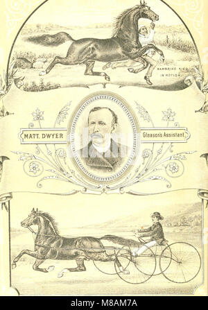 Mano-libro di equitazione e le abitudini e le malattie del cavallo e altri animali (1885) (14782886652) Foto Stock