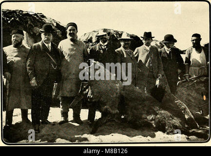 Cuoi e pelli dall'animale torna alla conceria di porta (1912) (14763766634) Foto Stock