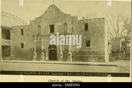 La storia del Texas, insieme con una storia biografica di Tarrant e Parker contee; contenente una storia concisa dello stato, con ritratti e biografie di eminenti cittadini di sopra (14580520237) Foto Stock