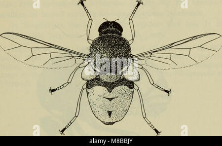 Danmarks fauna, pubblicato nel 1907, è un manuale illustrato che descrive la vita animale della Danimarca. Copre varie specie di mammiferi, uccelli, insetti e vita marina, offrendo descrizioni complete e classificazioni della fauna del paese. Foto Stock