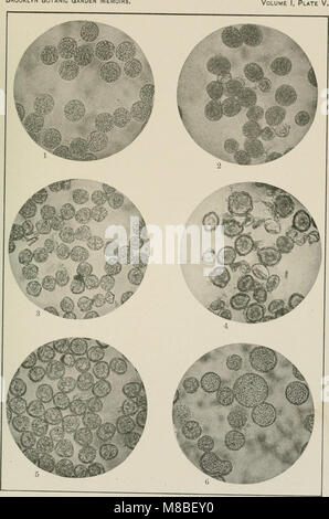 La dedizione i documenti - articoli scientifici presentati per la dedicazione del laboratorio di costruzione e impianto di case, 19-21 Aprile, 1917 (1918) (14597477598) Foto Stock