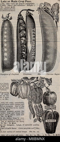 Catalogo descrittivo di alto grado semi per il giardino e la fattoria, 1902 (1902) (19948440703) Foto Stock