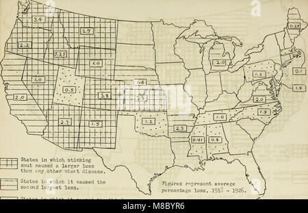 Le malattie dei cereali e colture foraggere negli Stati Uniti nel 1926 (1927) (20778444708) Foto Stock