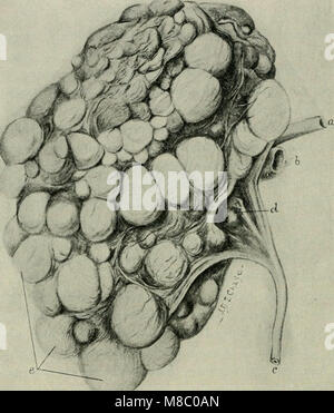 Le malattie dei suini, con riferimento particluar a hog-colera (1914) (14759306096) Foto Stock