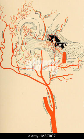 Le malattie dell'orecchio; un libro di testo per i professionisti e gli studenti di medicina (1909) (14581863919) Foto Stock