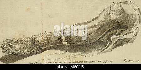 Disputationes fisico-medico anatomo-chirurgicae selectae (1756) (14594274467) Foto Stock