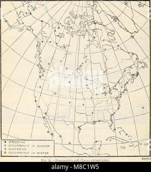 Distribuzione e migrazione di North American gabbiani e i loro alleati (1915) (14596293950) Foto Stock