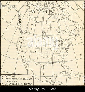 Distribuzione e migrazione di North American gabbiani e i loro alleati (1915) (14596486307) Foto Stock