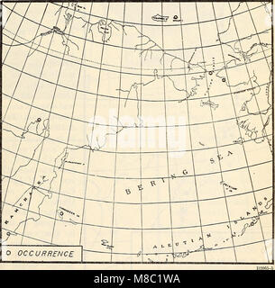Distribuzione e migrazione di North American gabbiani e i loro alleati (1915) (14759989656) Foto Stock