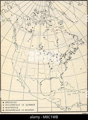 Distribuzione e migrazione di North American gabbiani e i loro alleati (1915) (14779845911) Foto Stock