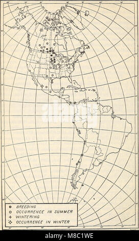 Distribuzione e migrazione di North American gabbiani e i loro alleati (1915) (14782649862) Foto Stock