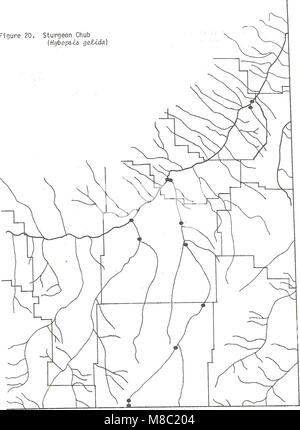 Distribuzione di pesci nel sud-est della Montana (1980) (20353024134) Foto Stock