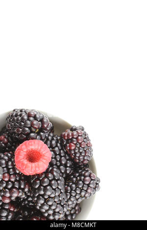 Blackberry fresco e rosso lampone frutti in una piccola ciotola Foto Stock