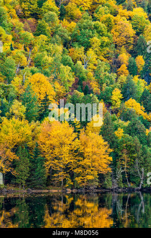 Cascata superiore lago del parco di Adirondack alti picchi regione, Essex County, New York Foto Stock