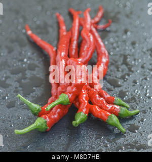 Peperoncino su un nero ardesia piastra. Profondità di campo Foto Stock