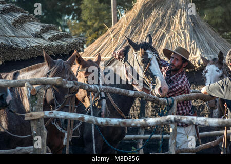 Tacuarembó, Uruguay - Marzo 9, 2018: Gaucho si prende cura del suo cavallo nel campo. Gaucho è un residente di Pampas del Sud America Foto Stock