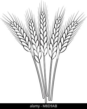 Mazzetto di vettore in bianco e nero spighe di grano Illustrazione Vettoriale