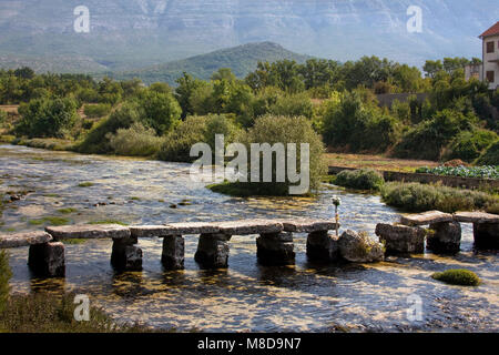 Antico ponte in pietra nei pressi della sorgente del fiume Cetina in Croazia Foto Stock