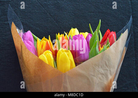 Multi-colore di tagliare i tulipani in confezione regalo Foto Stock