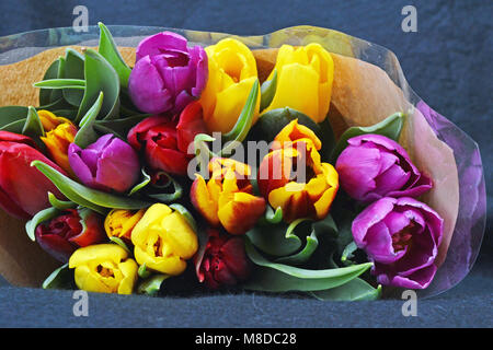 Multi-colore di tagliare i tulipani in confezione regalo Foto Stock