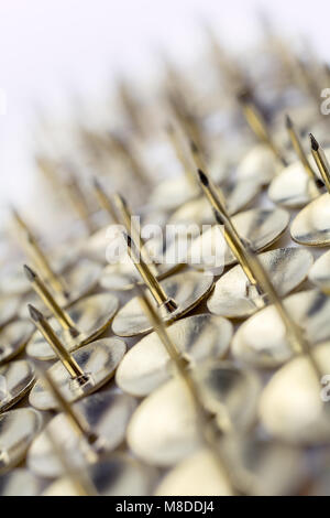 Una grande parete di Thumbtacks in una casella bianca - Angolo storto #1 Foto Stock