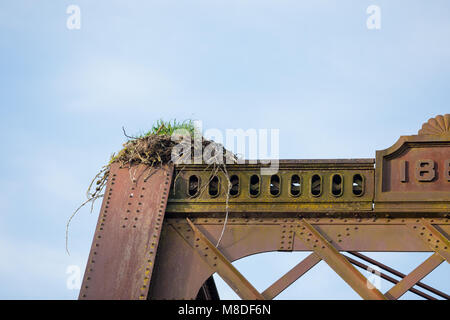 Eagle Nest sul ponte in Oregon Foto Stock