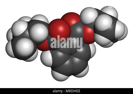 Di diisobutil ftalato (DIBF) plastificante molecola. Il rendering 3D. Gli atomi sono rappresentati come sfere con i tradizionali colori: idrogeno (bianco), auto Foto Stock