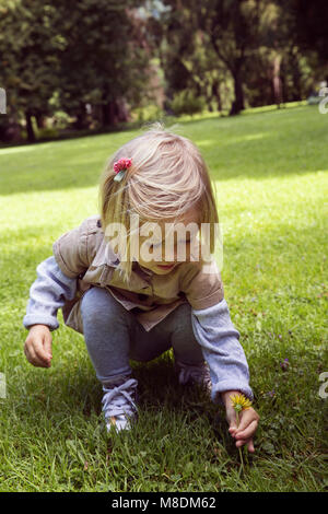 Toddler femminile accovacciato per scegliere tarassaco in posizione di parcheggio Foto Stock