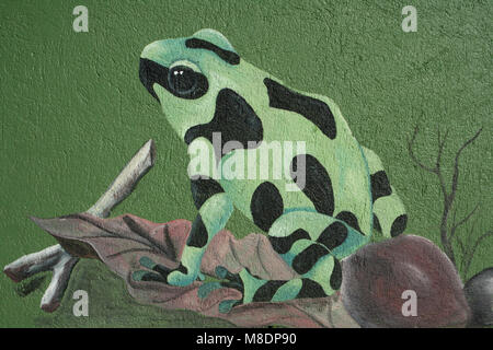 Verde e nero Poison Dart Frog Dendrobates auratus pittura Foto Stock