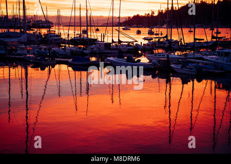 Barche nel porto al tramonto, Bainbridge, Washington, Stati Uniti d'America Foto Stock