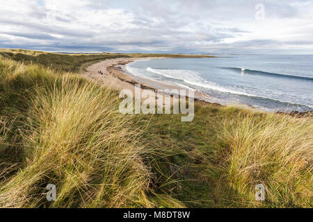 Foro di calcio accanto alla baia di Beadnell in Northumberland Foto Stock