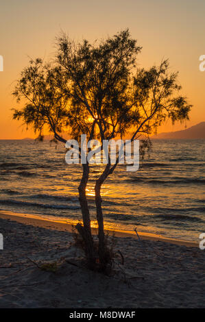 Il sole che tramonta dietro un Lone Tree e le montagne su una spiaggia di sabbia bianca a ora d'oro. Foto Stock