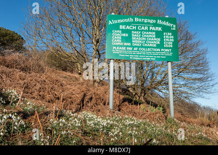 Firmare la visualizzazione di spese di parcheggio a Alnmouth spiaggia parcheggio auto, Northumberland Coast AONB, UK, con la fioritura snowdrops in primo piano ed un cielo blu Foto Stock