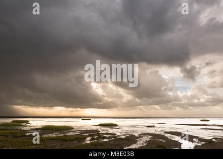 Nuvole scure sul mare del nord Isola di Mandø, Patrimonio naturale UNESCO, Ribe, Jutland, Danimarca Foto Stock