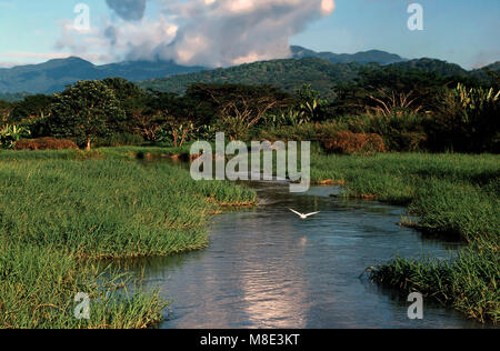 Rio Grande de Tarcoles,Costa Rica Foto Stock