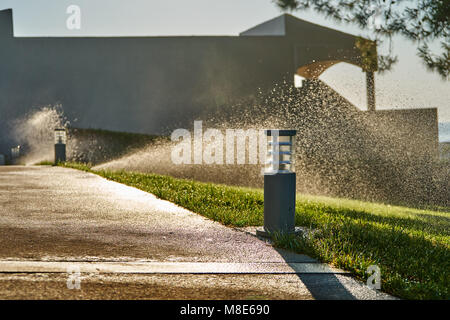 Annaffiatura mattutina del prato con sistema di irrigazione automatico. Impianto sprinkler intelligente per prato Foto Stock