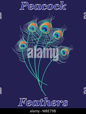 Una illustrazione vettoriale in formato eps formato 10 di luminoso colorato penne di pavone su uno sfondo blu scuro Illustrazione Vettoriale