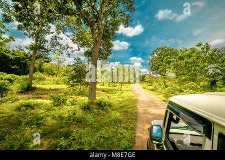 Esplorare la vita selvatica e la splendida natura paesaggio di jeep safari nel parco nazionale Yala, Sri Lanka Foto Stock