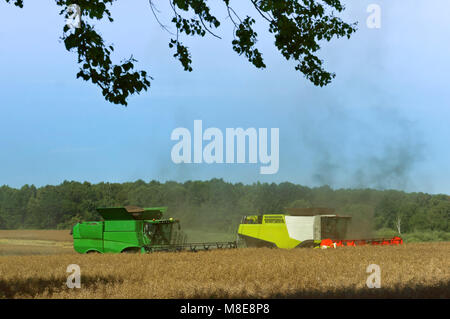 Due macchine agricole che operano nel campo dei terreni agricoli, ain macchine da raccolta operano nel campo Foto Stock