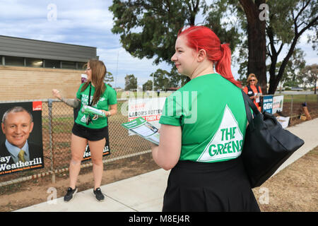 Adelaide Australia. Il 17 marzo 2018. Coda di persone al di fuori di un suburban High School di Adelaide a votare per eleggere i membri per la cinquantaquattresima europeo del Sud Australia. Lo stato elezione è sorvegliato dalla Commissione Elettorale del South Australia (ECSA) come partiti politici concorso per 47 posti nella casa di assemblaggio o casa inferiore, i cui membri attuali sono stati eletti al 2014 elezione, e 11 dei 22 seggi in seno al consiglio legislativo o upper house. Il voto è obbligatorio e un dovere civico in Australia Credit: amer ghazzal/Alamy Live News Foto Stock