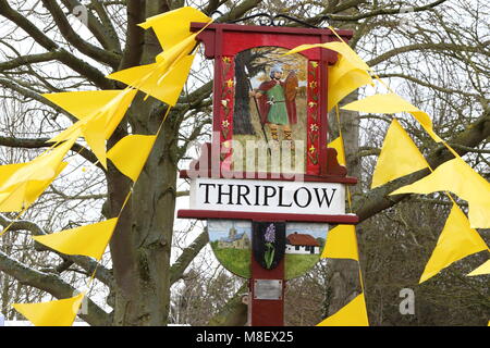 Thriplow, REGNO UNITO, 17 Mar 2018. Per la prima volta nella sua orgogliosa 50 anni di storia, la Thriplow Daffodil week-end è stato colpito da neve. Oltre mezzo milione di narcisi in tutto il villaggio di attirare oltre diecimila visitatori di questo piccolo villaggio di Cambridgeshire ogni anno. Essi celebrano il loro cinquantesimo anniversario con la manifestazione di quest'anno, ma l'arrivo improvviso di notte la neve e temperature sotto zero ha colpito la solita sorprendente display del tradizionale fiori di primavera. Credito: KEITH MAYHEW/Alamy Live News Foto Stock