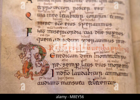 Manoscritto Medievale nella biblioteca della cattedrale di Salisbury nel Wiltshire, Inghilterra. Il libro risale al X secolo. Foto Stock