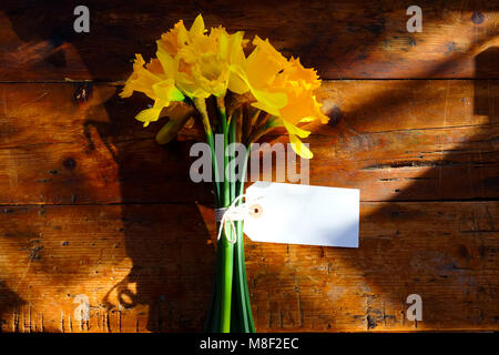 Un mazzetto di 14 giallo narcisi legati insieme con cordino bianco in un arco intorno gli steli verdi, vi è un vuoto bianco etichetta rettangolare legati alla f Foto Stock