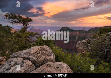 Stati Uniti d'America, Arizona Grand Canyon National Park, North Rim Grand Canyon al tramonto Foto Stock