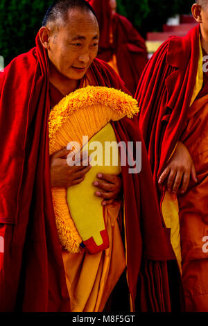 Il Tibetano Bhudhist Monaco con il cappello giallo andando per la preghiera, Gyuto Monastero, Dharmashala, Himachal Pradesh, India Foto Stock