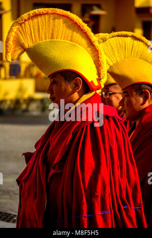 Il Tibetano Bhudhist Monaco con il cappello giallo andando per la preghiera, Gyuto Monastero, Dharmashala, Himachal Pradesh, India Foto Stock