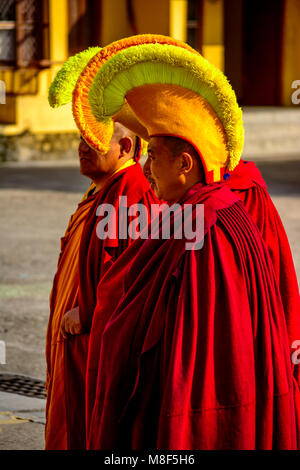 Il Tibetano Bhudhist Monaco con il cappello giallo andando per la preghiera, Gyuto Monastero, Dharmashala, Himachal Pradesh, India Foto Stock