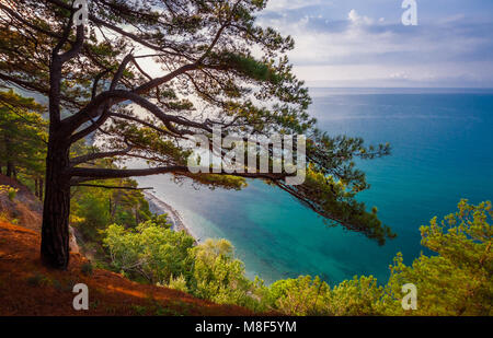 Betta, Gelendzhik distretto, Regione Krasnodar, Russia / Хутор Бетта, городской округ Геленджик, Краснодарский край. Foto Stock